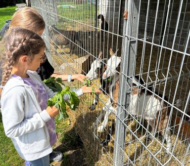 Lipcowe półkolonie 2025