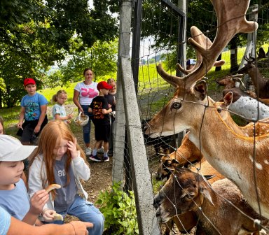 Lipcowe półkolonie 2025